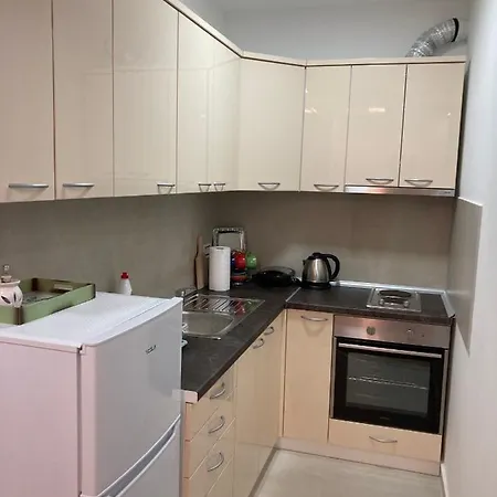 Apartman Tara 2020
