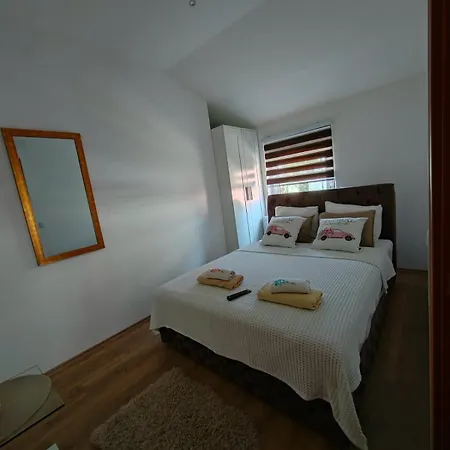 Apartment Tara Arandjelovac