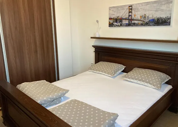 Apartman Tara 2020 公寓