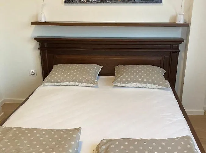 Apartman Tara 2020 公寓